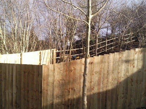 Wall